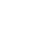 Icon RAM