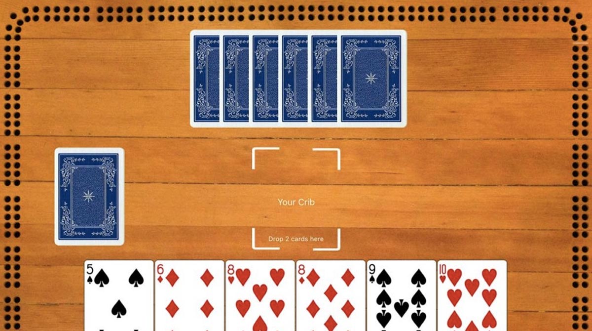 Download free cribbage game for pc 14 000 things to be happy about pdf download free