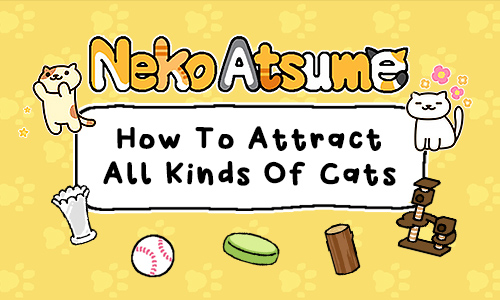 Neko Atsume guide