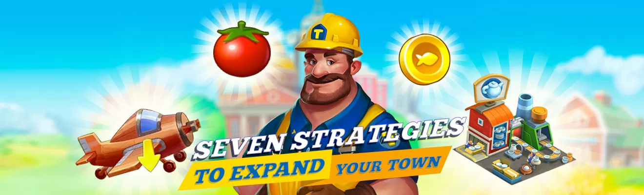 Township Town Strategies
