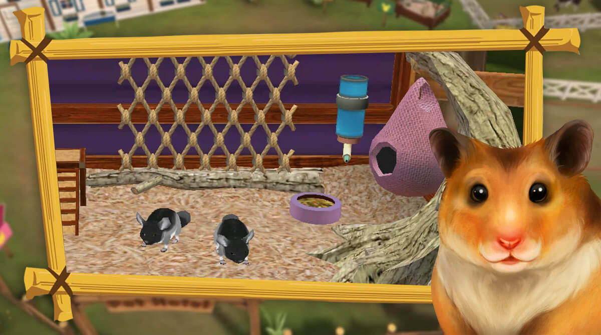 Pet Hotel Animal Pension For Pc