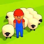 Sheep Market