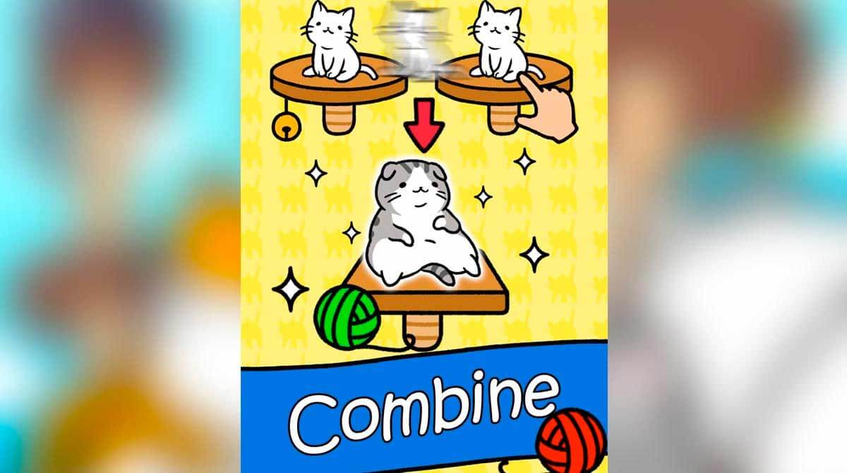 Cat Condo Free Pc Download