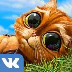 Indy Cat for VK