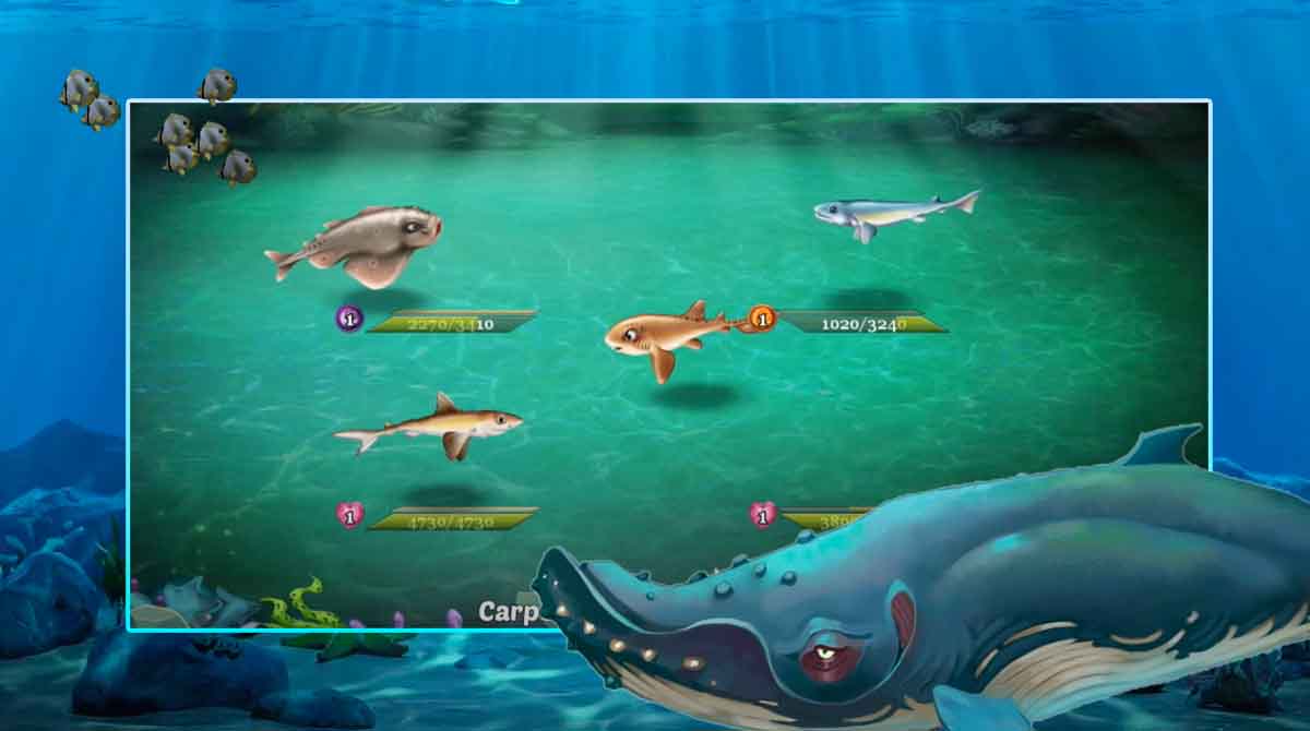 Shark World Free Pc Download