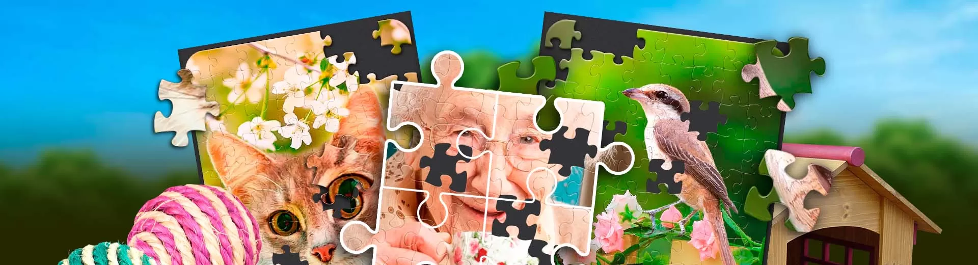 Jigsaw Puzzles Adult Emulator Pc 1