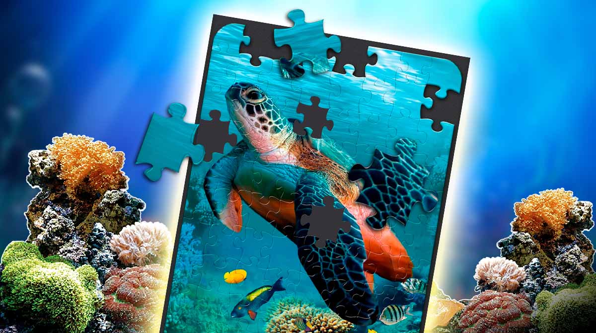 Jigsaw Puzzles Adult Free Pc Download 1