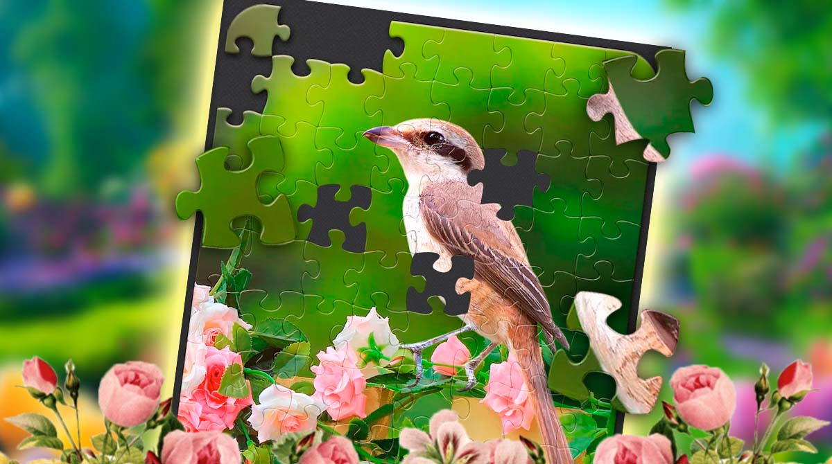 Jigsaw Puzzles Adult Pc Download 1