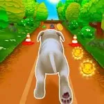 Pet Run – Puppy Dog Game