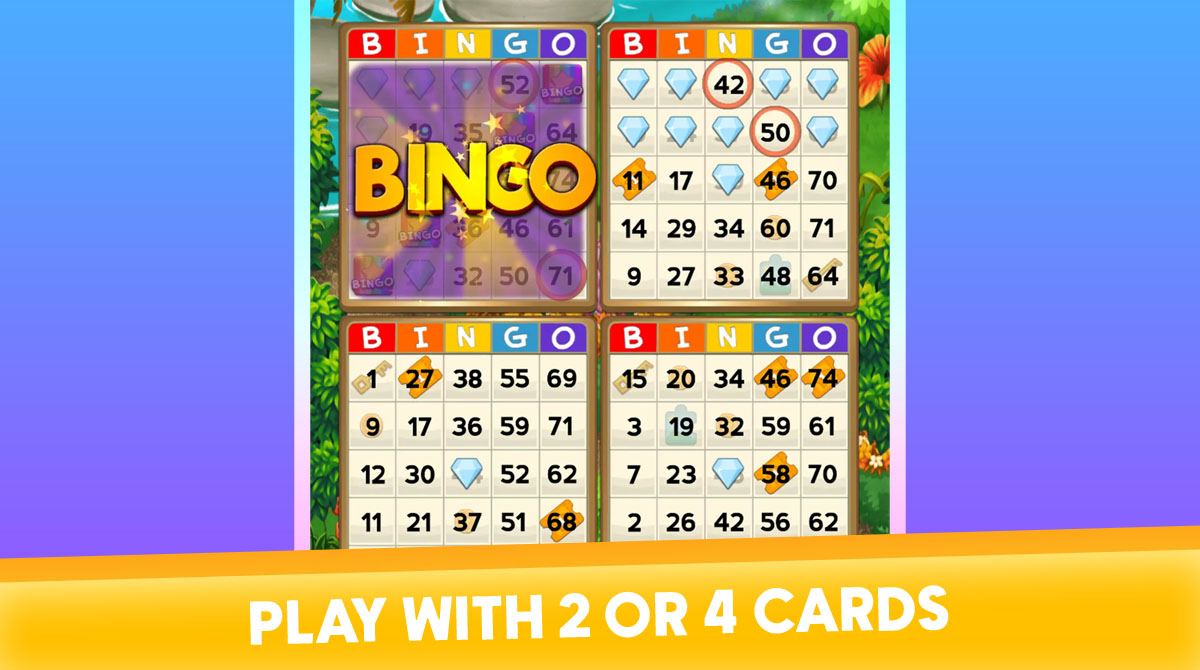 Bingo Quest Free Pc Download